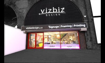 Viz Biz Design